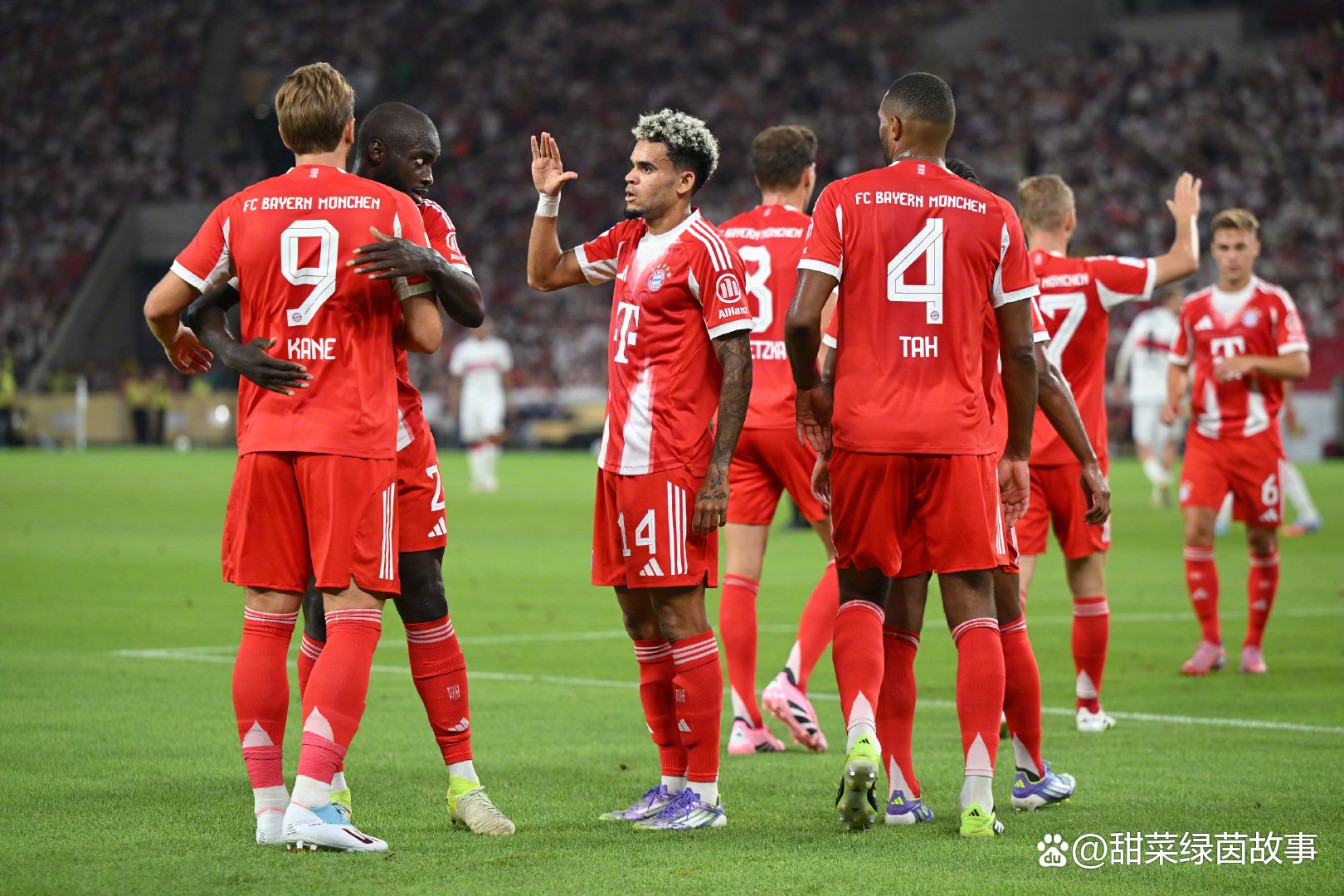 德国杯赛程一览表